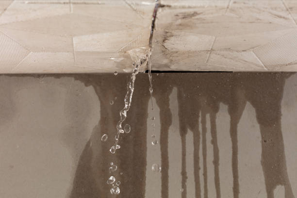 Professional Water Damage Repair technician working in Lawnside, NJ